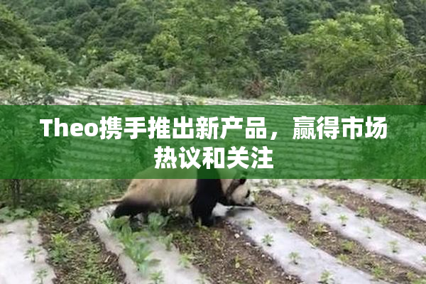 Theo携手推出新产品，赢得市场热议和关注