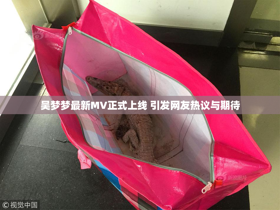 吴梦梦最新MV正式上线 引发网友热议与期待