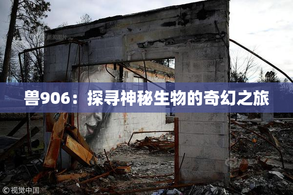 兽906：探寻神秘生物的奇幻之旅
