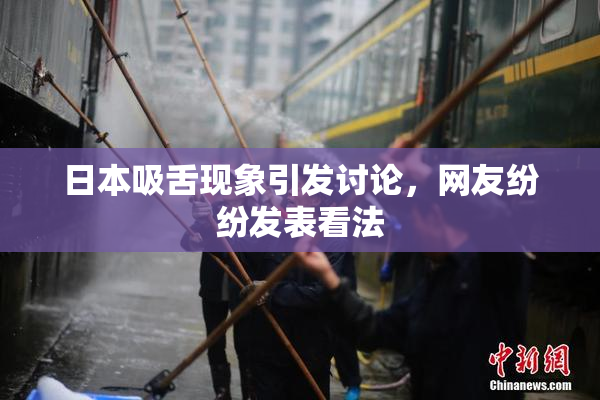 日本吸舌现象引发讨论，网友纷纷发表看法