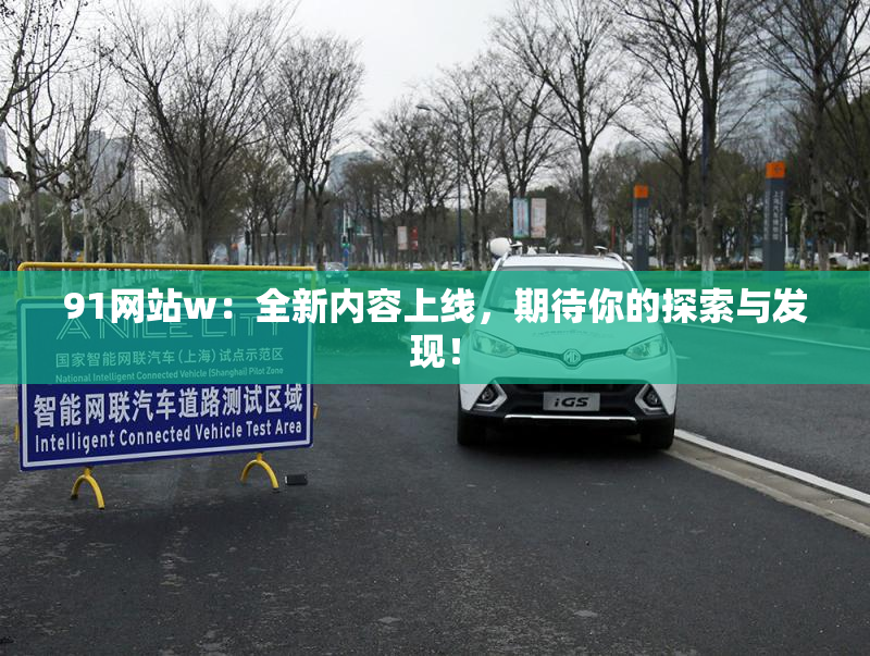 91网站w：全新内容上线，期待你的探索与发现！