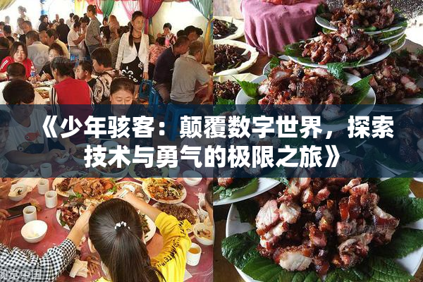 《少年骇客：颠覆数字世界，探索技术与勇气的极限之旅》