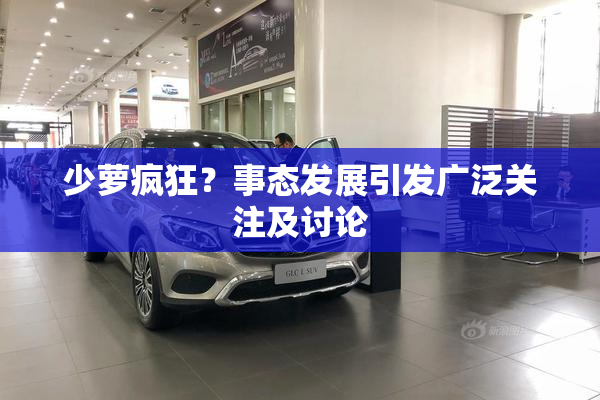 少萝疯狂？事态发展引发广泛关注及讨论