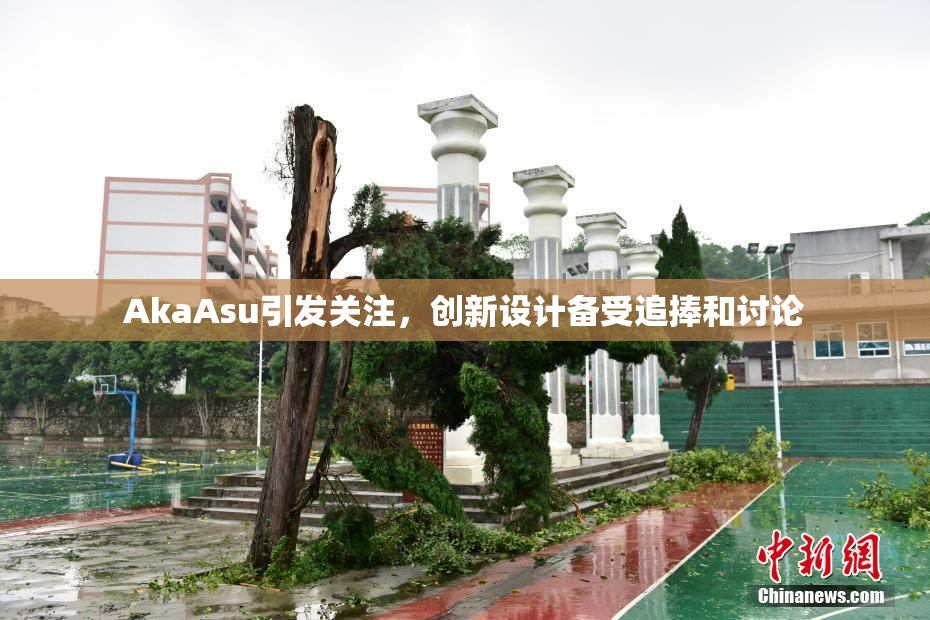 AkaAsu引发关注，创新设计备受追捧和讨论