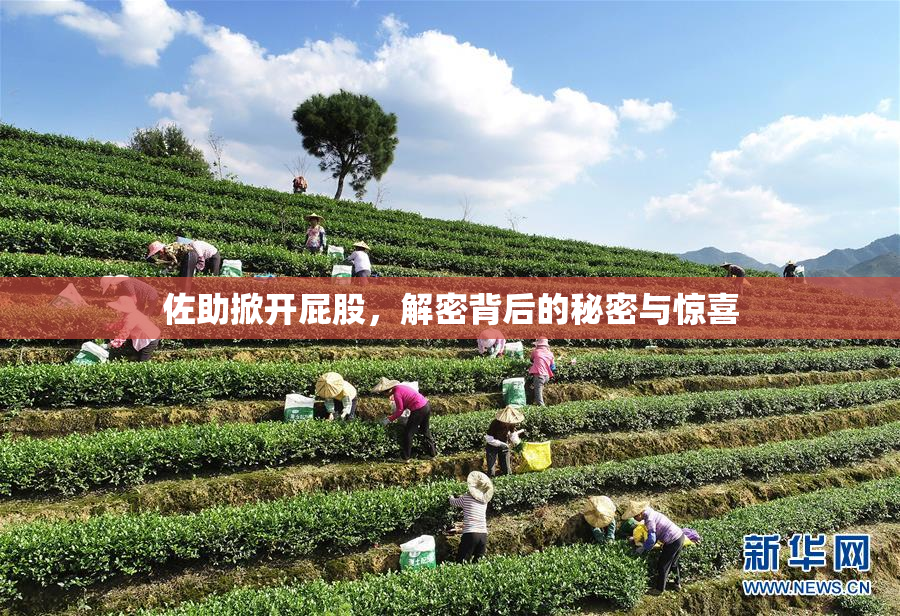 佐助掀开屁股，解密背后的秘密与惊喜