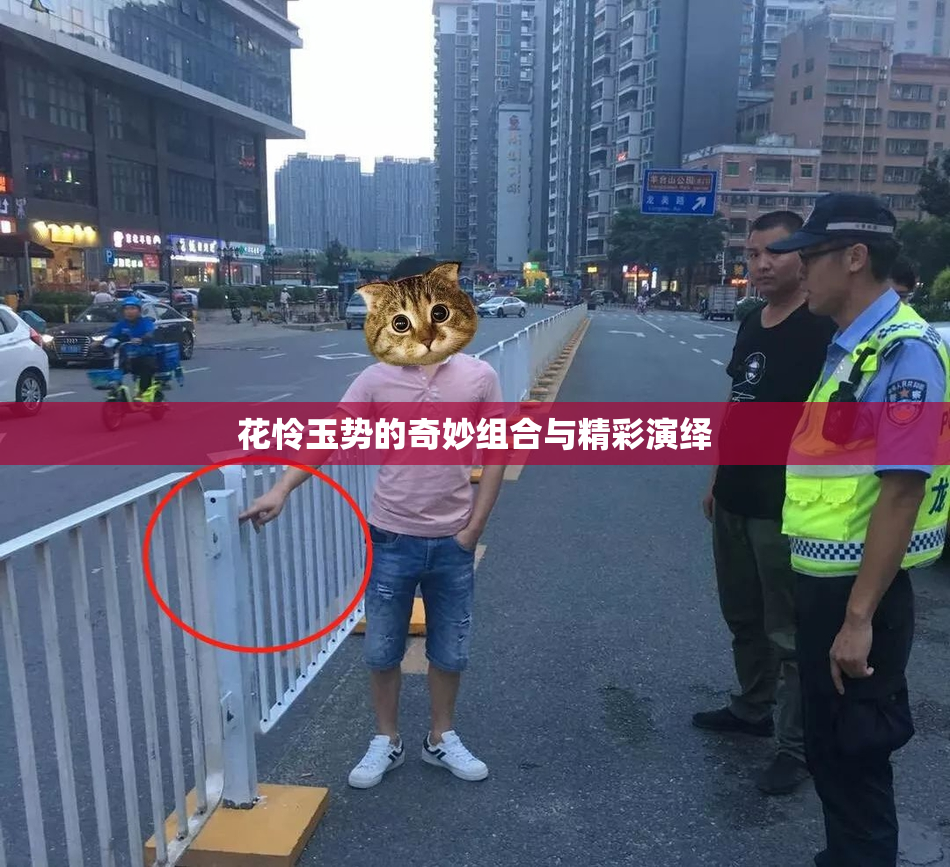 花怜玉势的奇妙组合与精彩演绎