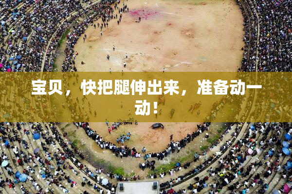 宝贝，快把腿伸出来，准备动一动！