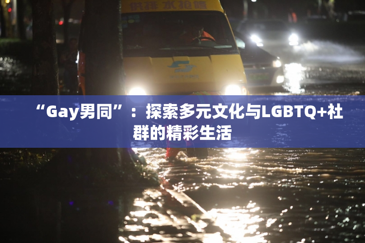 “Gay男同”：探索多元文化与LGBTQ+社群的精彩生活