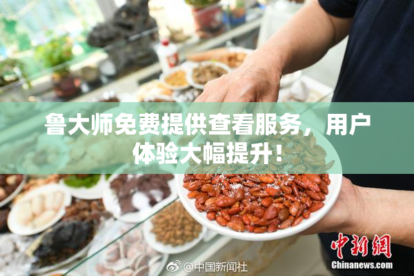鲁大师免费提供查看服务，用户体验大幅提升！