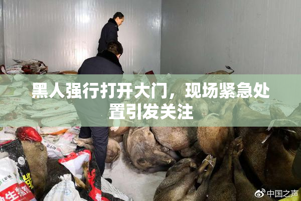 黑人强行打开大门，现场紧急处置引发关注