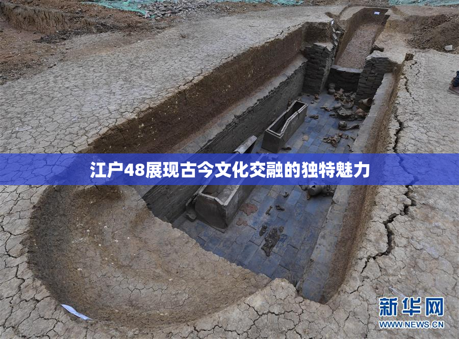 江户48展现古今文化交融的独特魅力