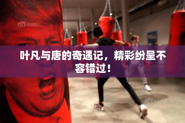 叶凡与唐的奇遇记，精彩纷呈不容错过！
