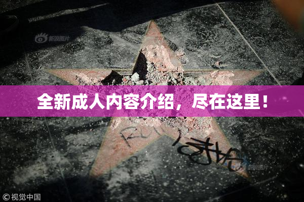 全新成人内容介绍，尽在这里！