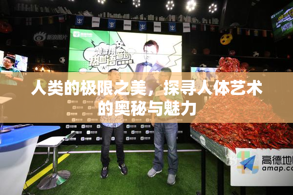 人类的极限之美，探寻人体艺术的奥秘与魅力