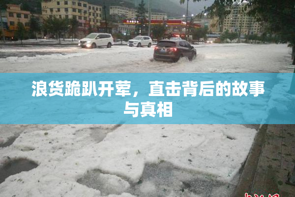 浪货跪趴开荤，直击背后的故事与真相