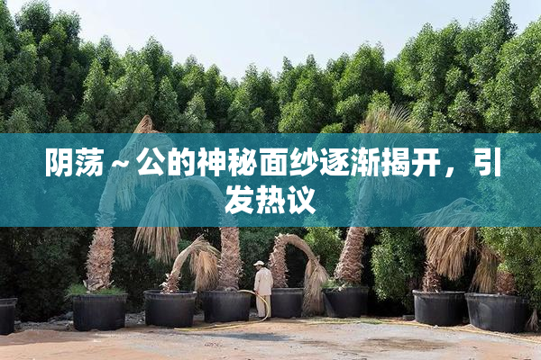 阴荡～公的神秘面纱逐渐揭开，引发热议