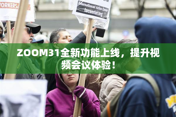 ZOOM31全新功能上线，提升视频会议体验！