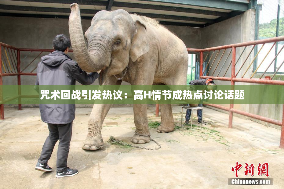 咒术回战引发热议：高H情节成热点讨论话题