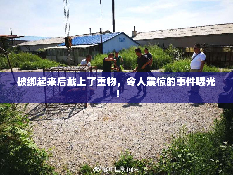 被绑起来后戴上了重物，令人震惊的事件曝光！