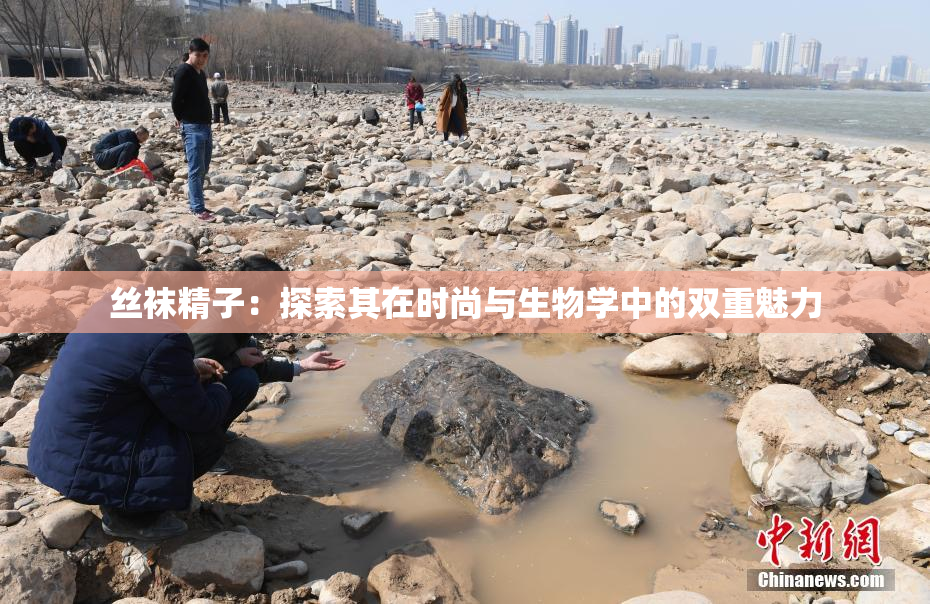 丝袜精子：探索其在时尚与生物学中的双重魅力
