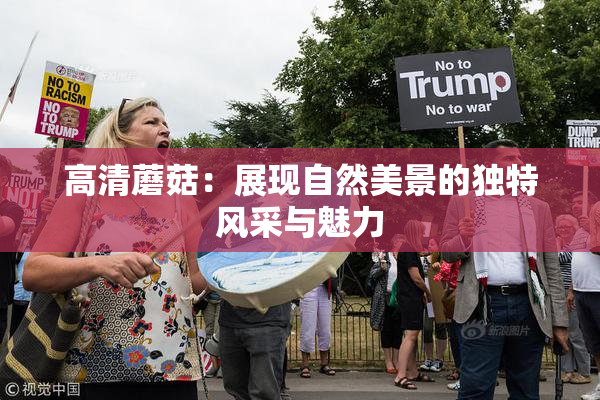 高清蘑菇：展现自然美景的独特风采与魅力