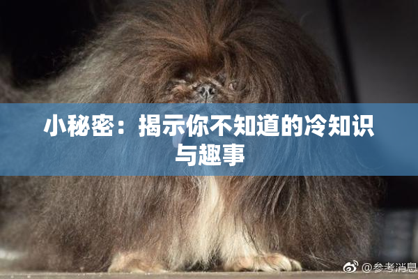 小秘密：揭示你不知道的冷知识与趣事