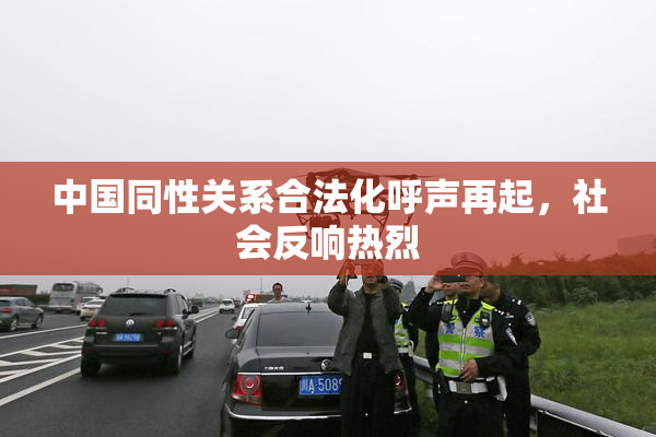 中国同性关系合法化呼声再起，社会反响热烈