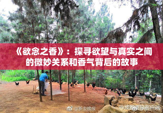 《欲念之香》：探寻欲望与真实之间的微妙关系和香气背后的故事