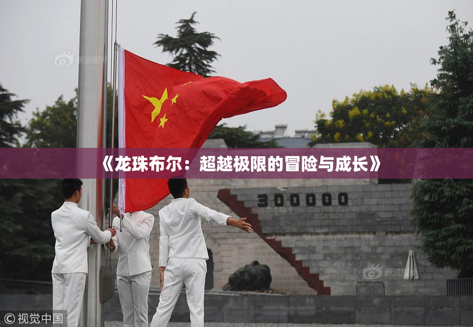 《龙珠布尔：超越极限的冒险与成长》