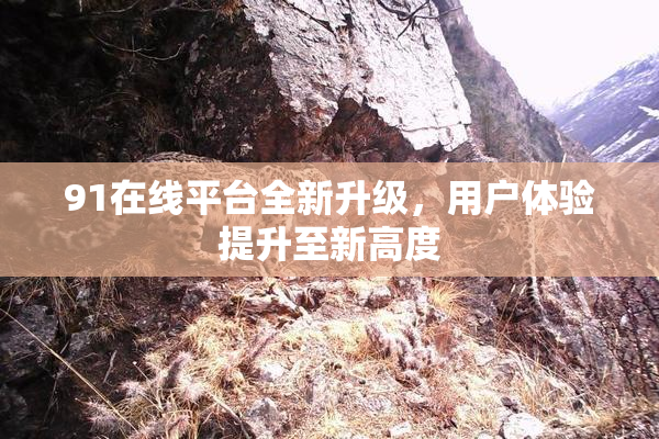 91在线平台全新升级，用户体验提升至新高度