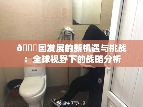 🔞国发展的新机遇与挑战：全球视野下的战略分析