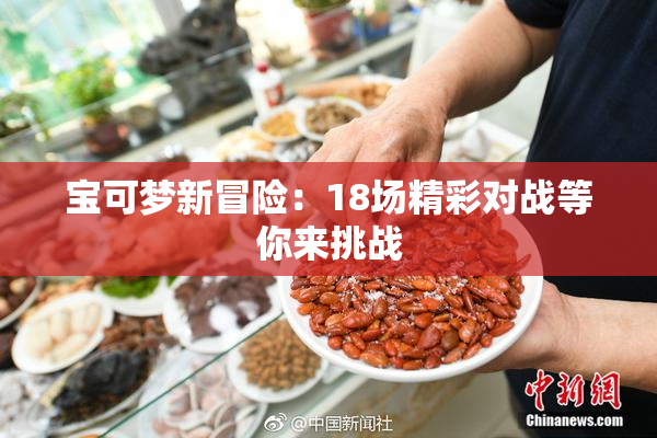 宝可梦新冒险：18场精彩对战等你来挑战