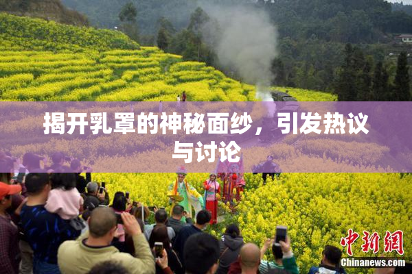 揭开乳罩的神秘面纱，引发热议与讨论