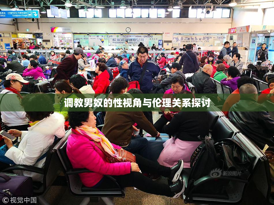 调教男奴的性视角与伦理关系探讨