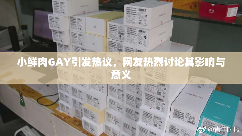 小鲜肉GAY引发热议，网友热烈讨论其影响与意义