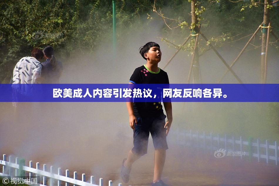 欧美成人内容引发热议，网友反响各异。