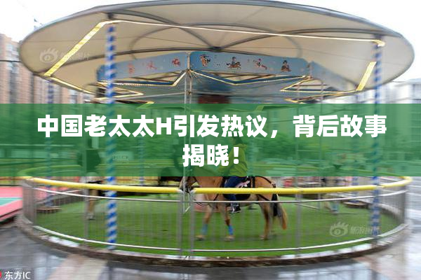 中国老太太H引发热议，背后故事揭晓！