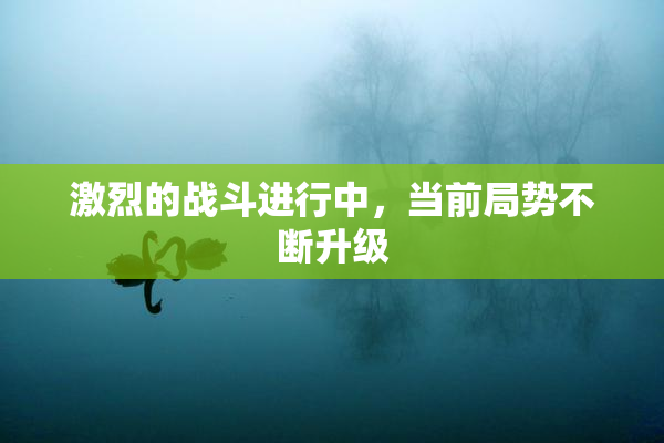 激烈的战斗进行中，当前局势不断升级