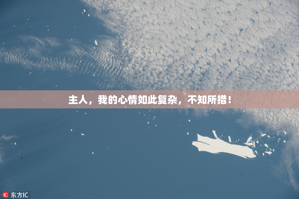 主人，我的心情如此复杂，不知所措！