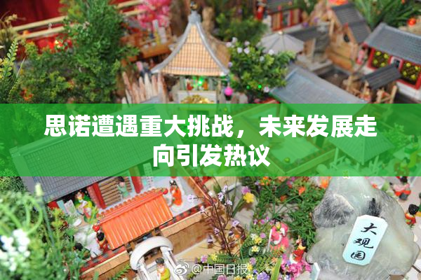 思诺遭遇重大挑战，未来发展走向引发热议