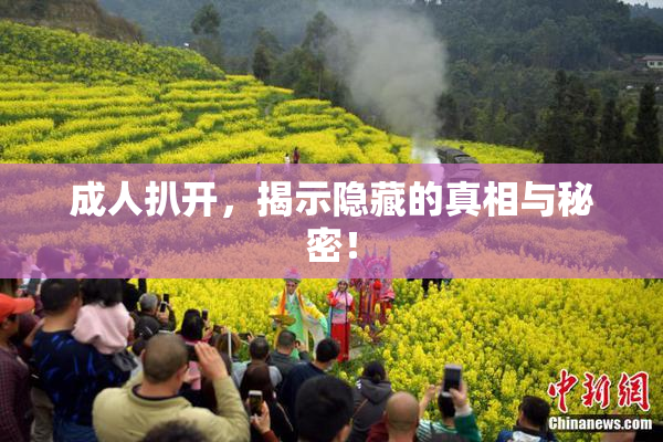成人扒开，揭示隐藏的真相与秘密！