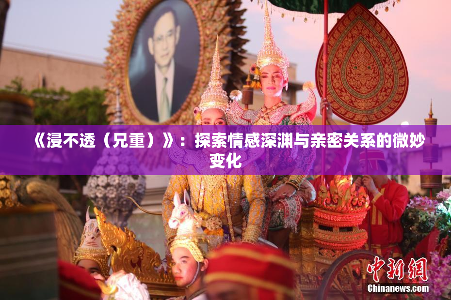 《浸不透（兄重）》：探索情感深渊与亲密关系的微妙变化