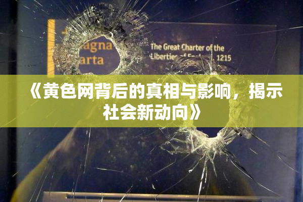 《黄色网背后的真相与影响，揭示社会新动向》