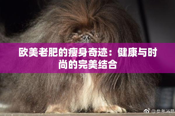 欧美老肥的瘦身奇迹：健康与时尚的完美结合