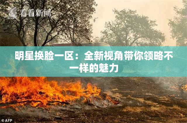明星换脸一区：全新视角带你领略不一样的魅力