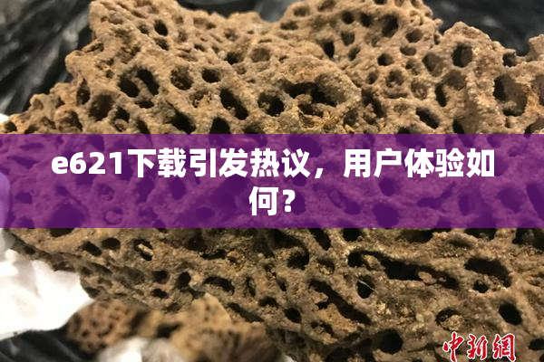 e621下载引发热议，用户体验如何？