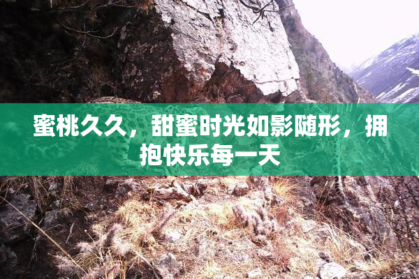蜜桃久久，甜蜜时光如影随形，拥抱快乐每一天