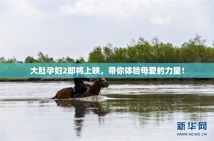 大肚孕妇2即将上映，带你体验母爱的力量！