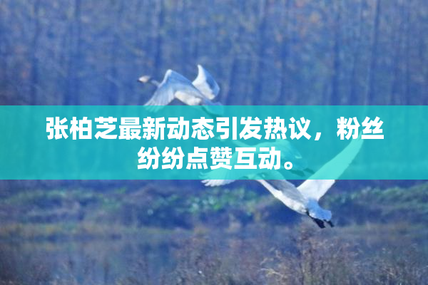 张柏芝最新动态引发热议，粉丝纷纷点赞互动。