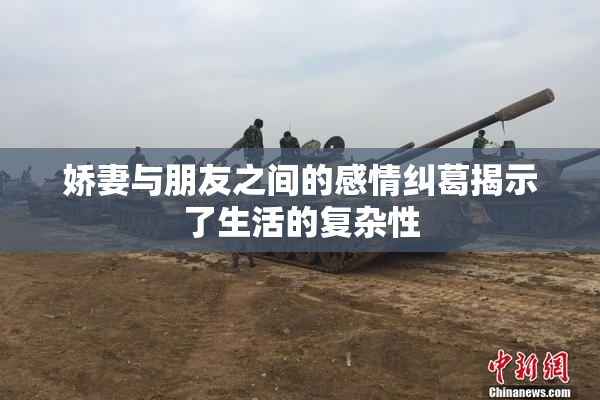 娇妻与朋友之间的感情纠葛揭示了生活的复杂性
